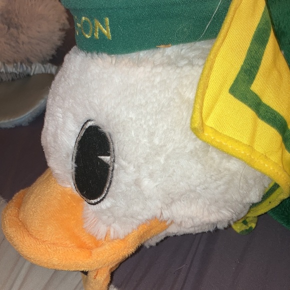 i’m selling my ducky and he needs a great home for very cheap. 🦆 - Picture 2 of 5